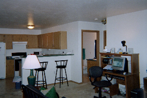 My cheap old bachelor pad